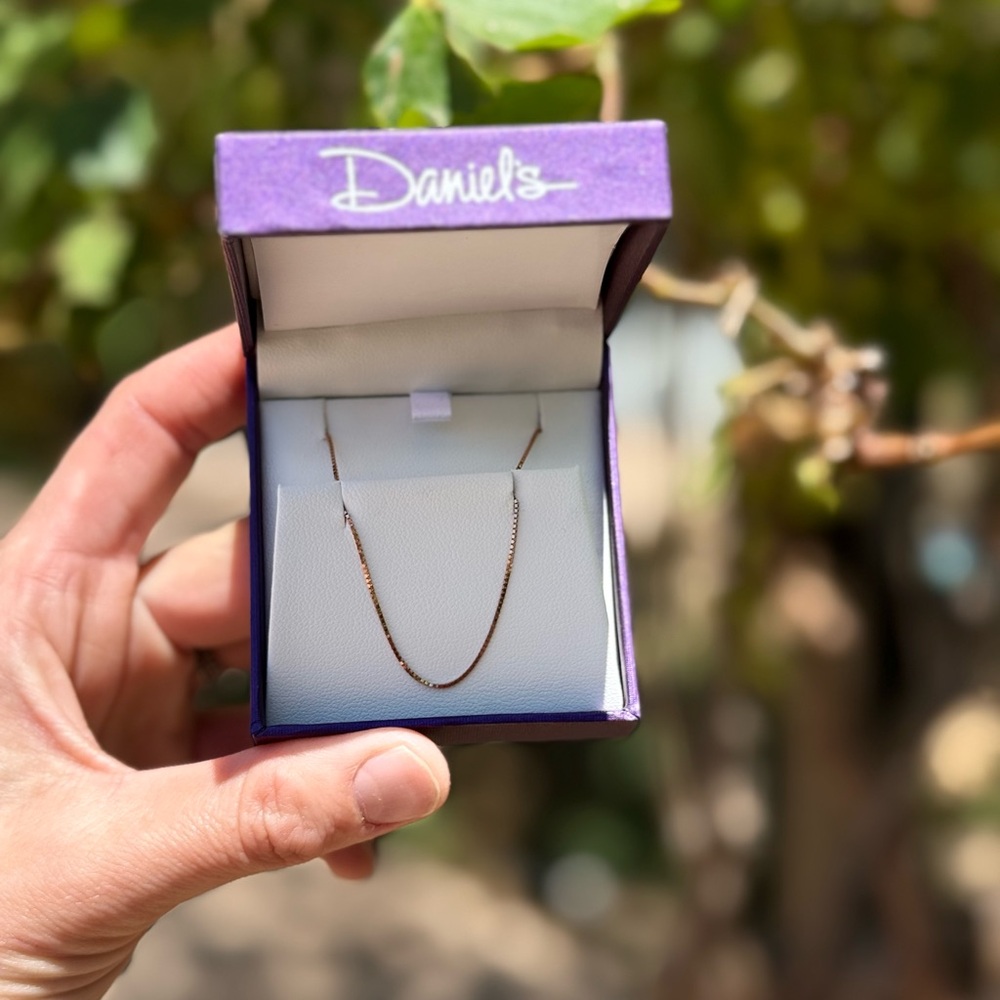 14 K Rose Gold Minimalist Necklace